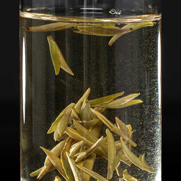 Pekoe Silver Needle Loose Spring Tea - joyteahouse